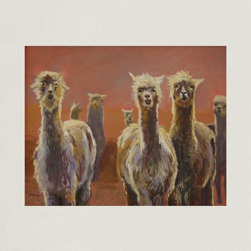 Alpaca-Pack-Medium-Print-11x14-Horizontal