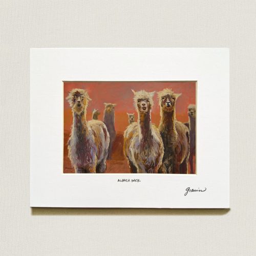 Alpaca-Pack-Small-Matted-Print-8x10-web