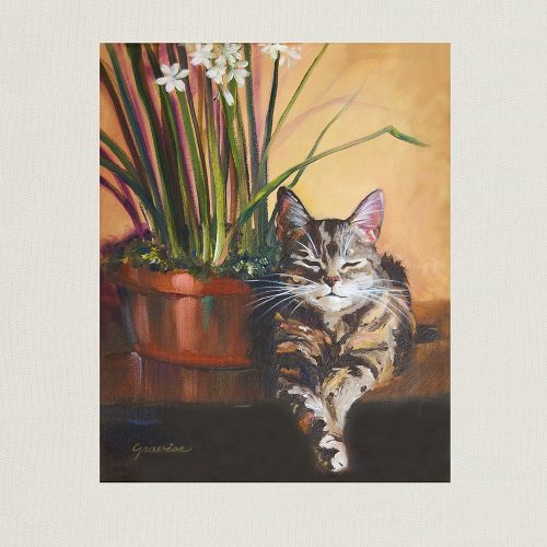 Cozy-Kitty-Medium-Prints-11x14-Vertical